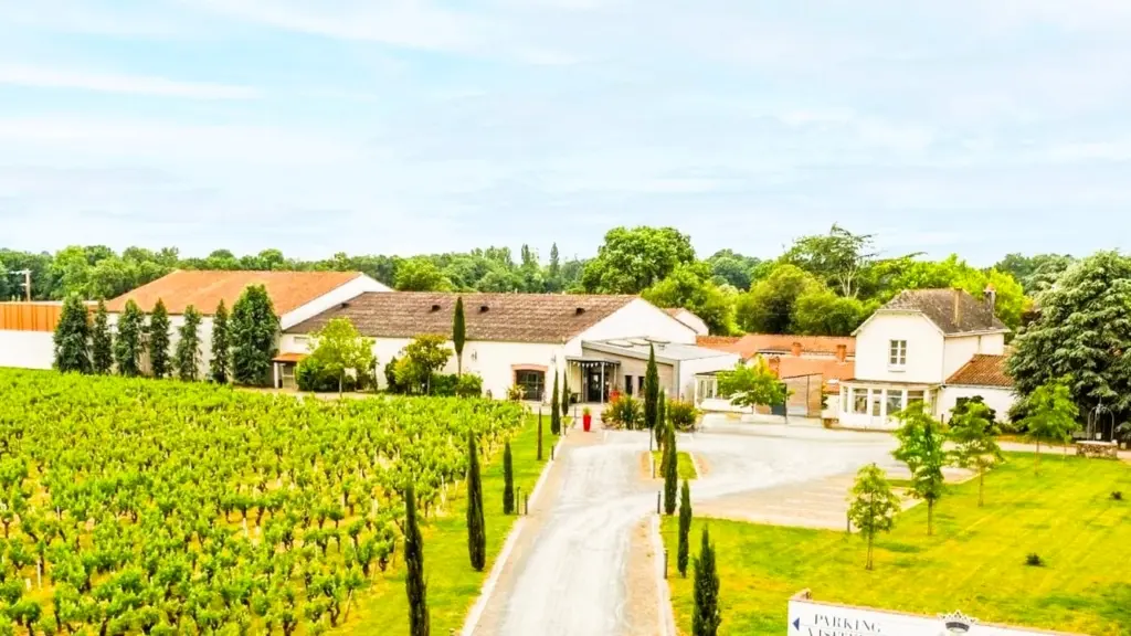 domaine raphael luneau-vue drone