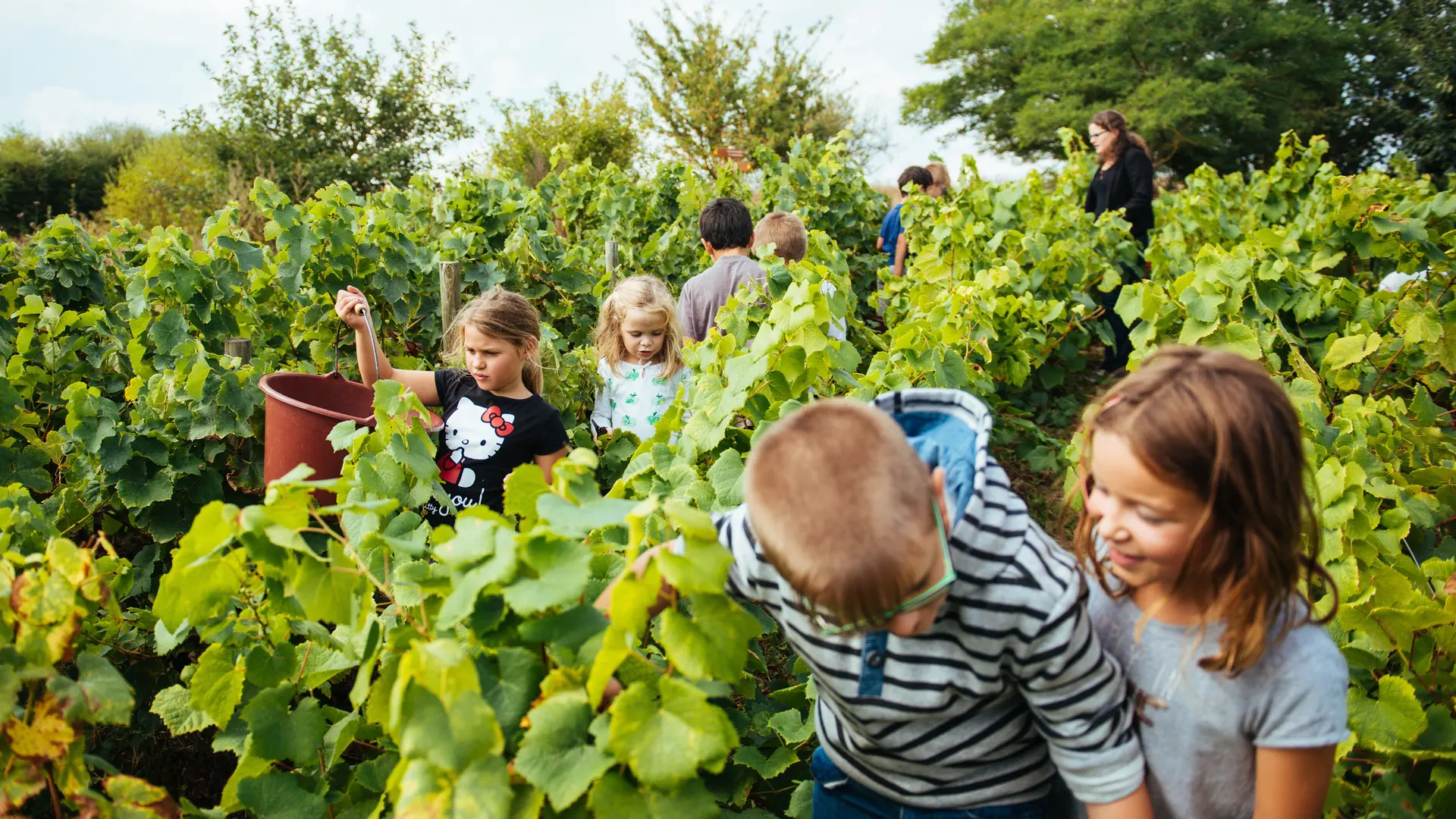 2018-musee-vignoble-nantais-pallet-44-levignobledenantes-tourisme