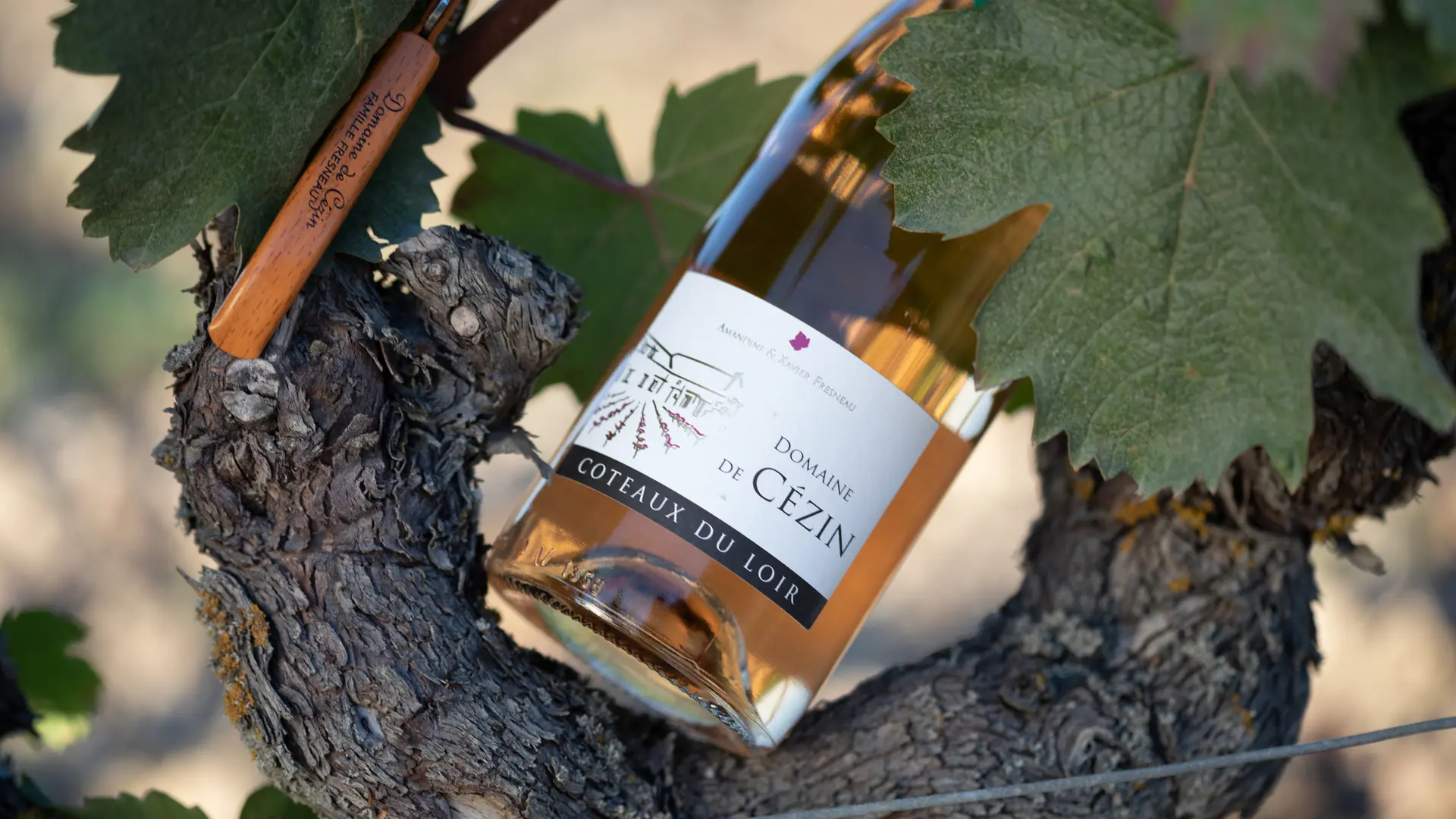 Domaine_de_Cézin