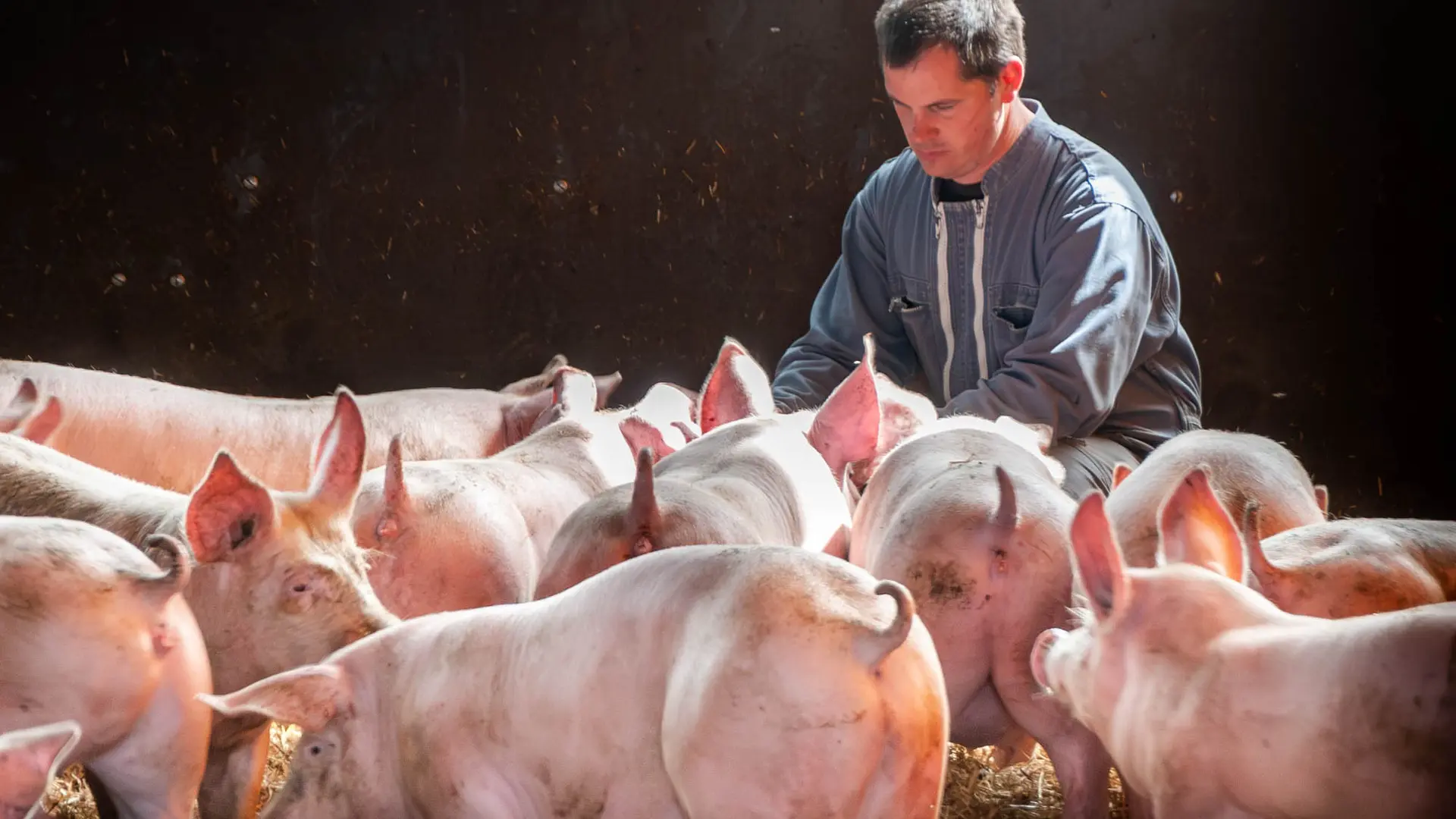 Ferme HUART 2023 Sélection WEB-16