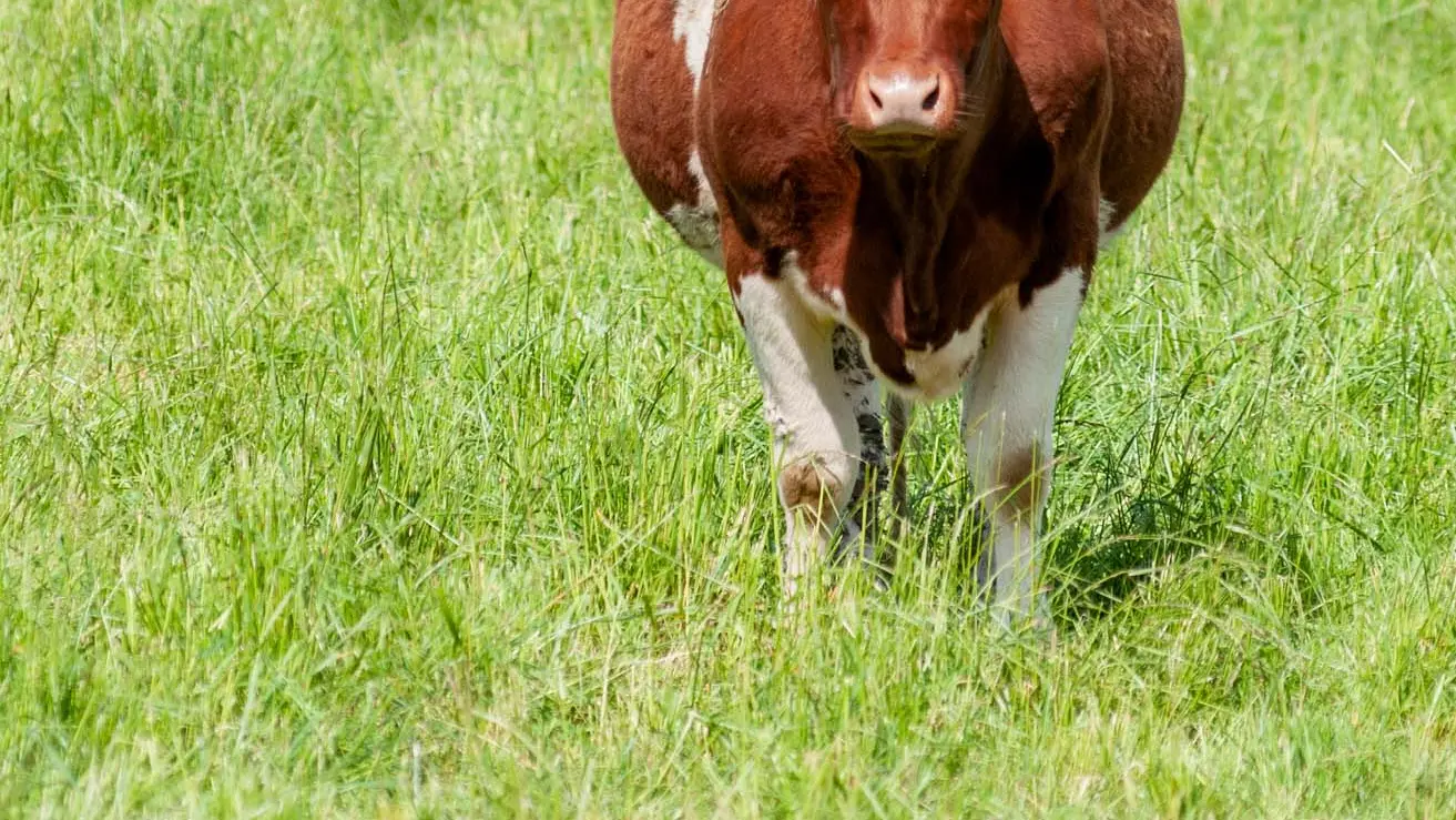 Ferme HUART 2023 Sélection WEB-17