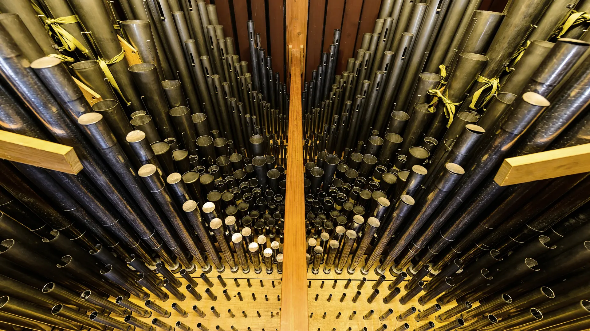 Grand orgue. une vue de l'intérieur.