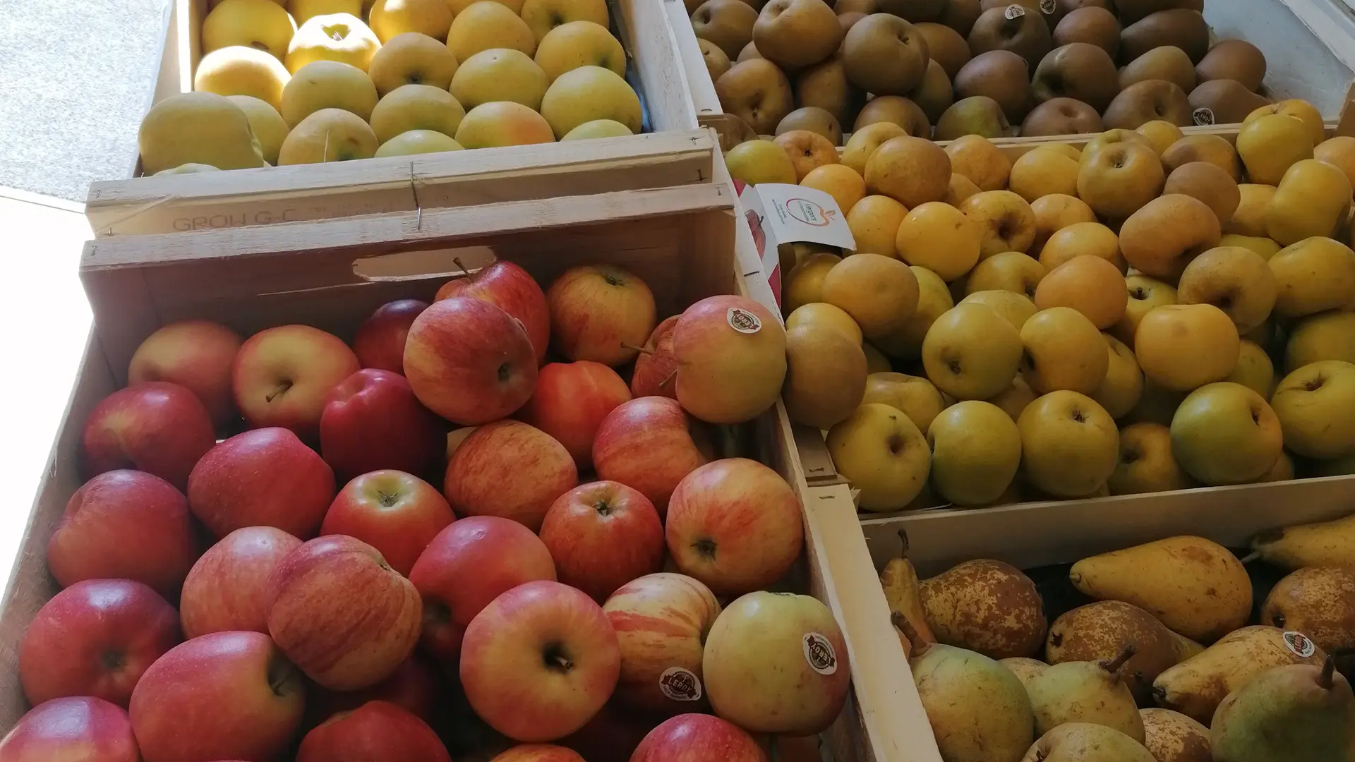 Pommes catégorie 1