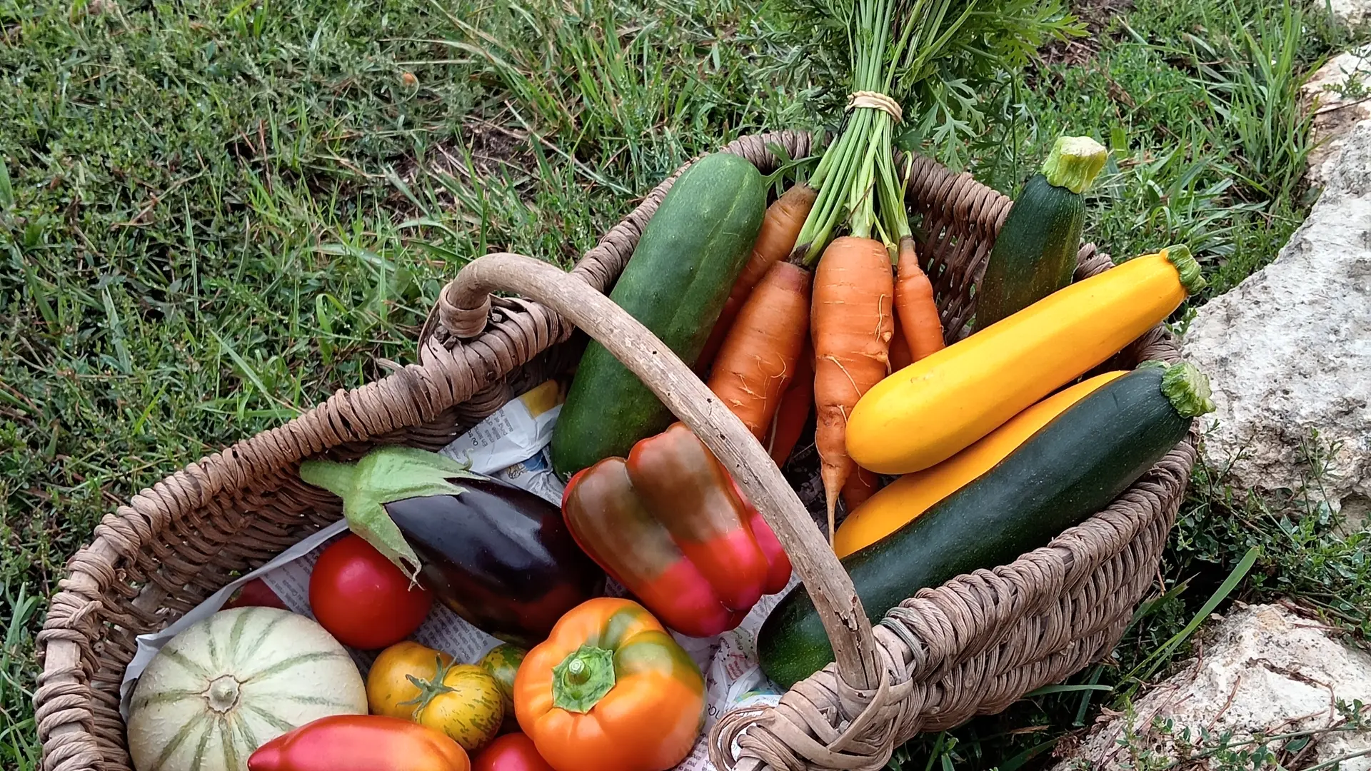 Légumes