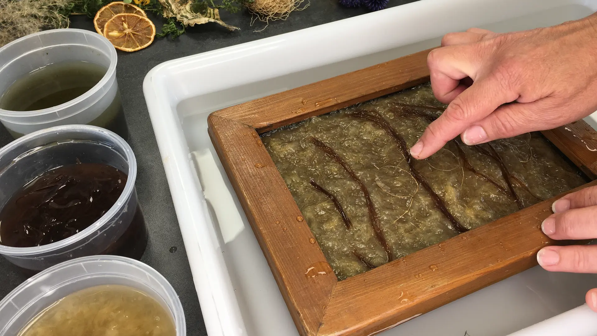 Atelier Papier Végétal