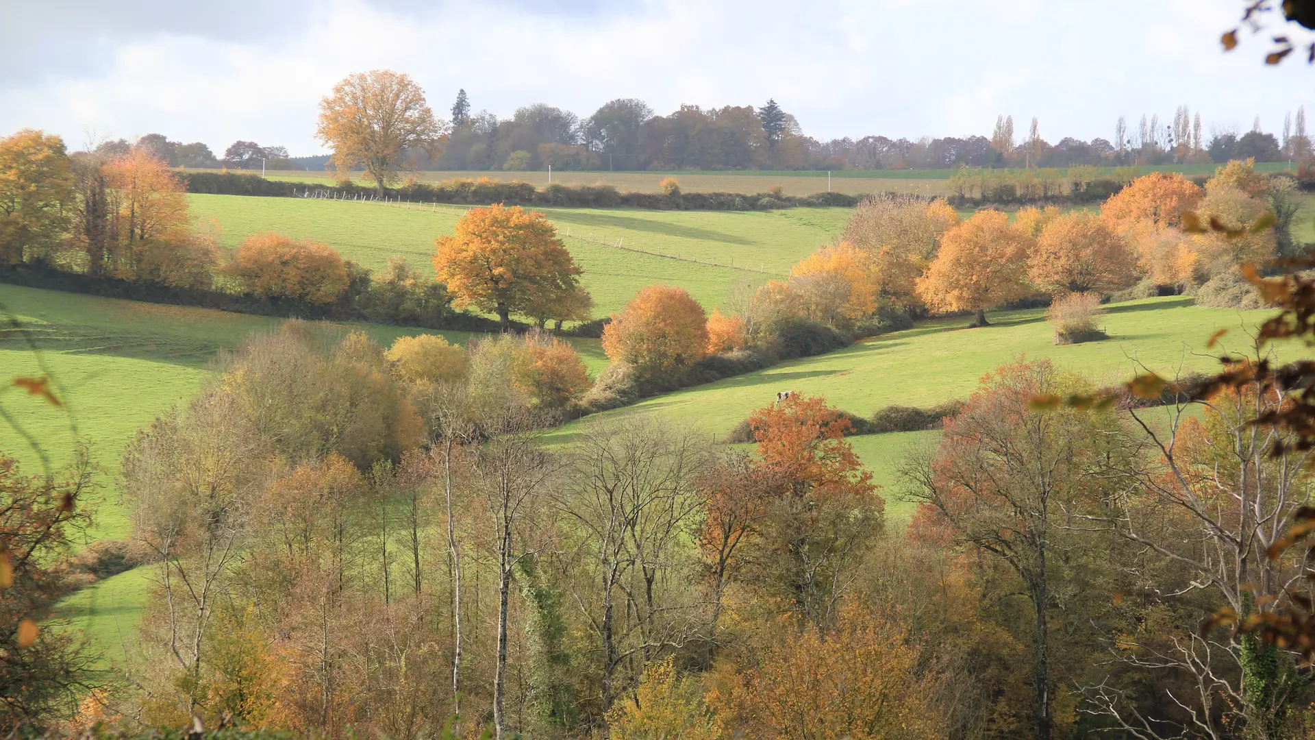 Vue sur la campagne du Manoir de Beaumont