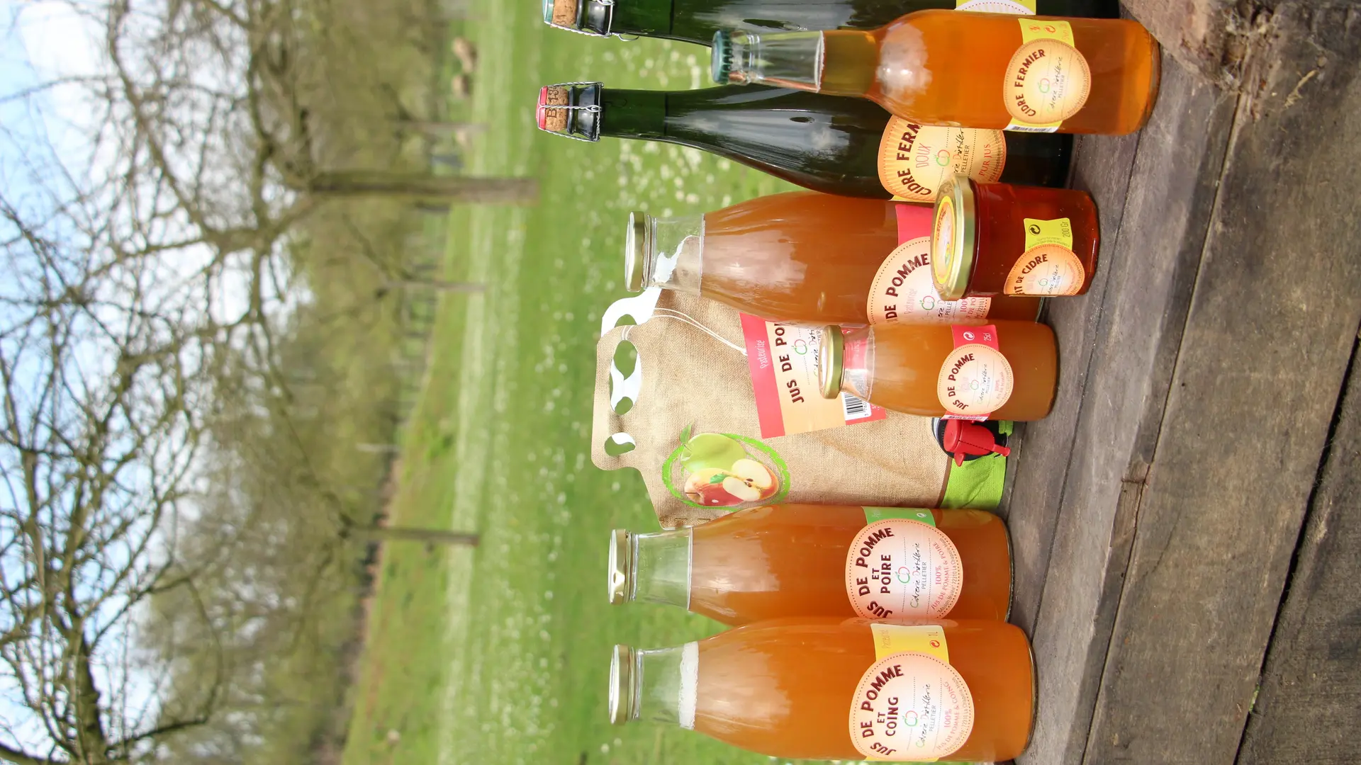 Jus et Cidre