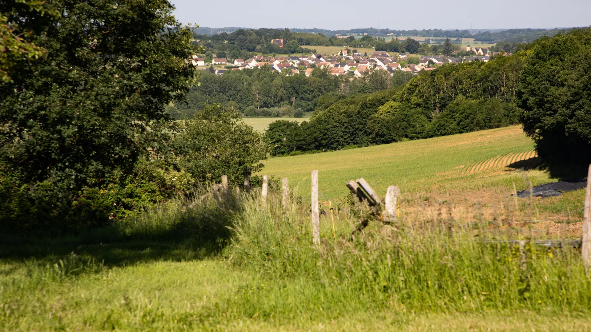 JPB_7026_web