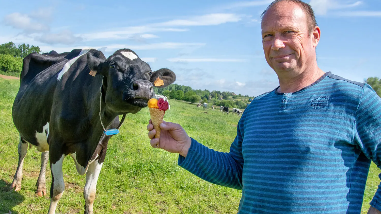 Le-Grand-Courbeton- Glaces au lait de vache