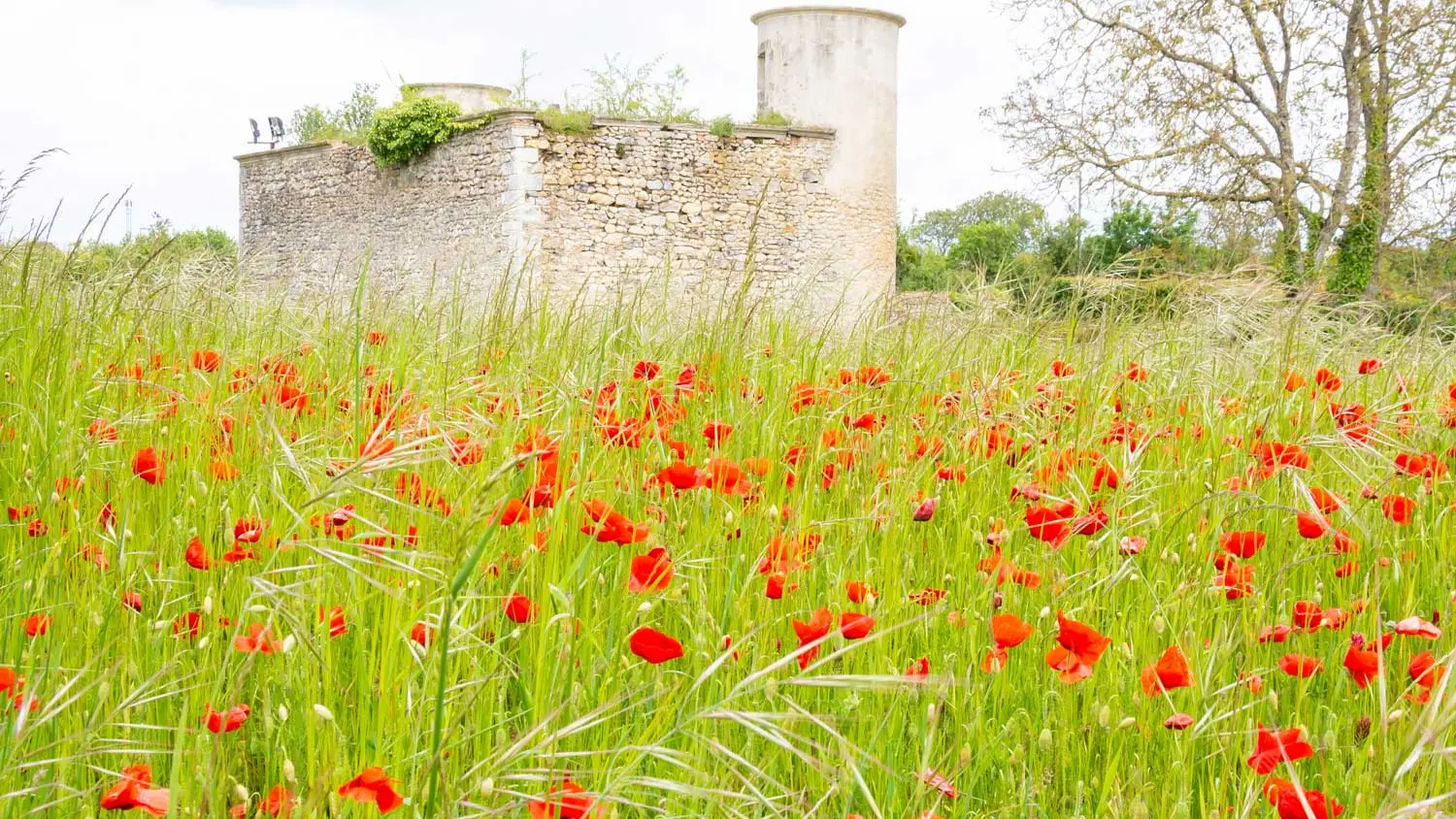 Tourelles-de-Parcé