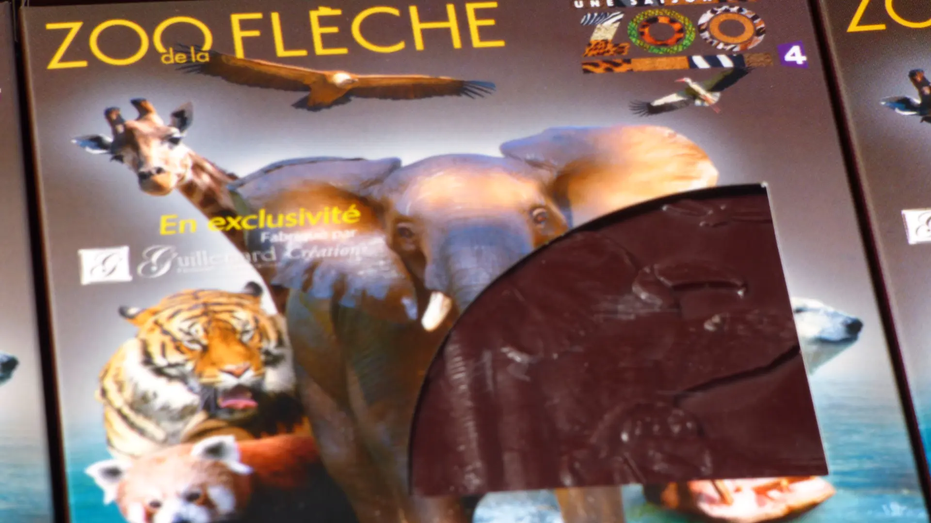 P1120501