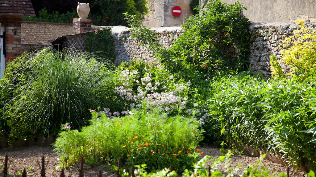 PCU72-Crannesenchampagne-jardin