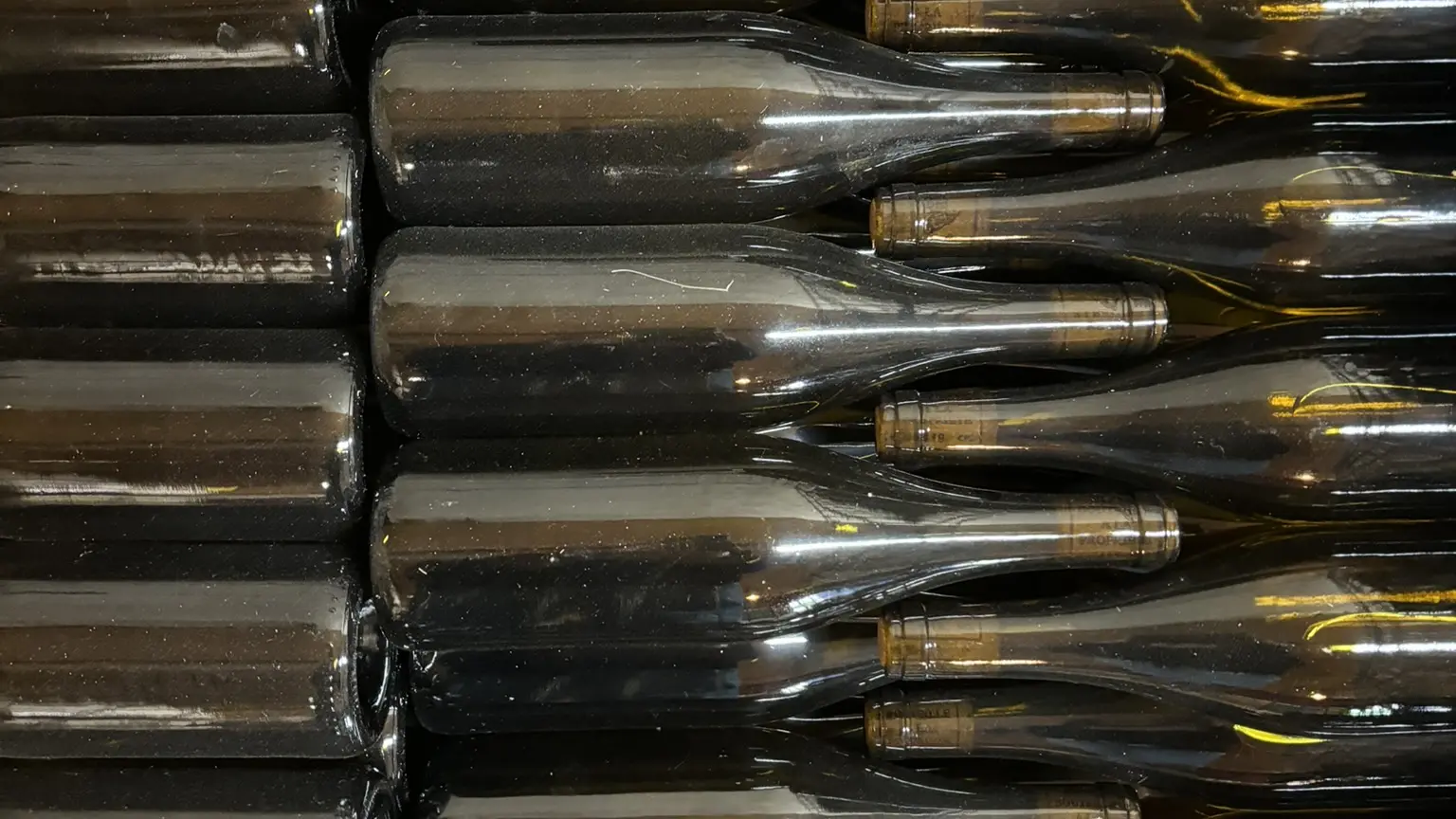 Vignoble de Parcé - bouteilles