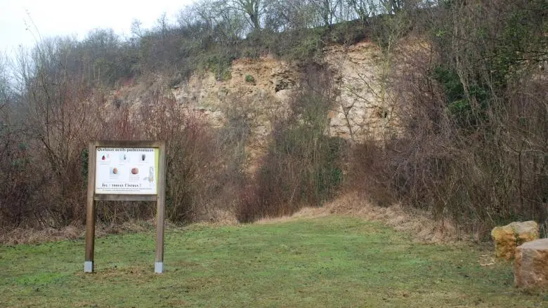 Coteau de Vilclair front de taille