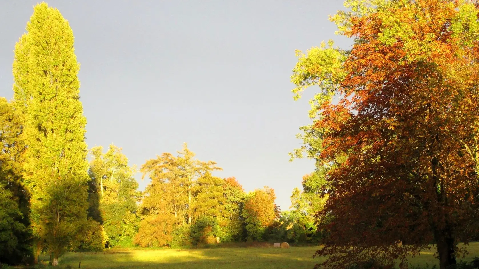 parc-launay-baffert--2-