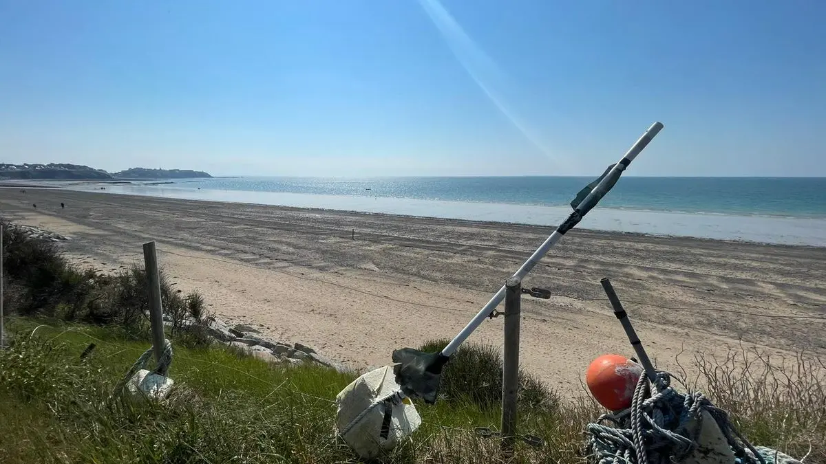 0-les-chardons-bleus-n12-donville-les-bains