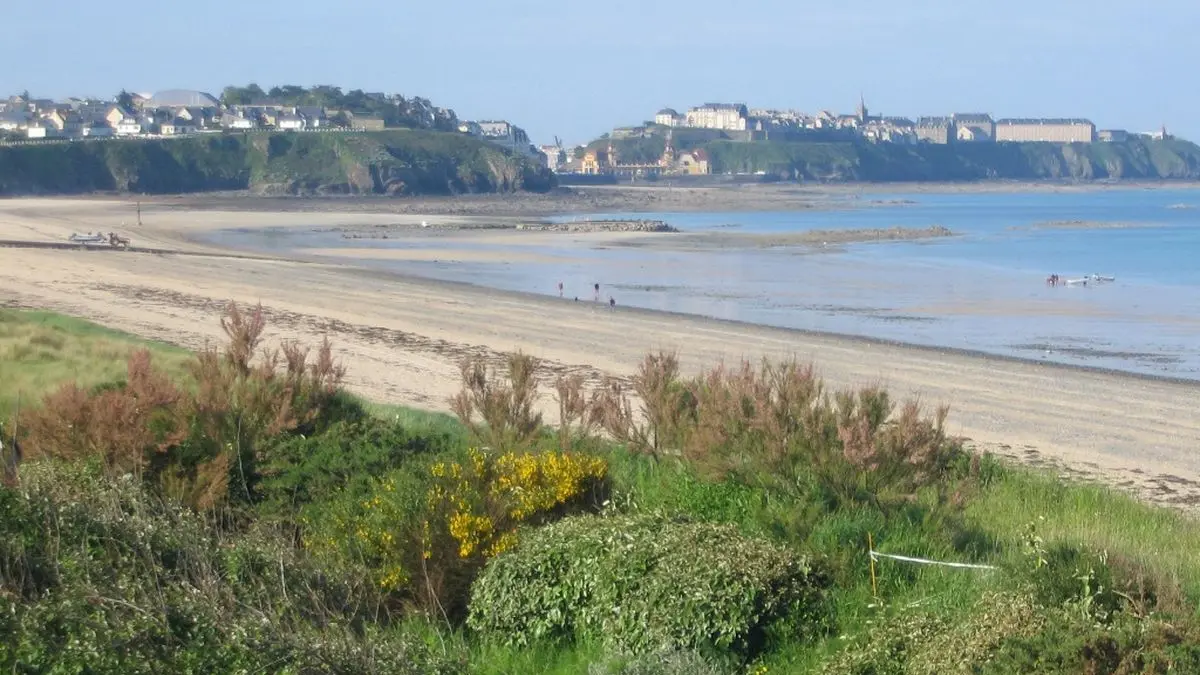 0-les-chardons-bleus-n32-donville-les-bains