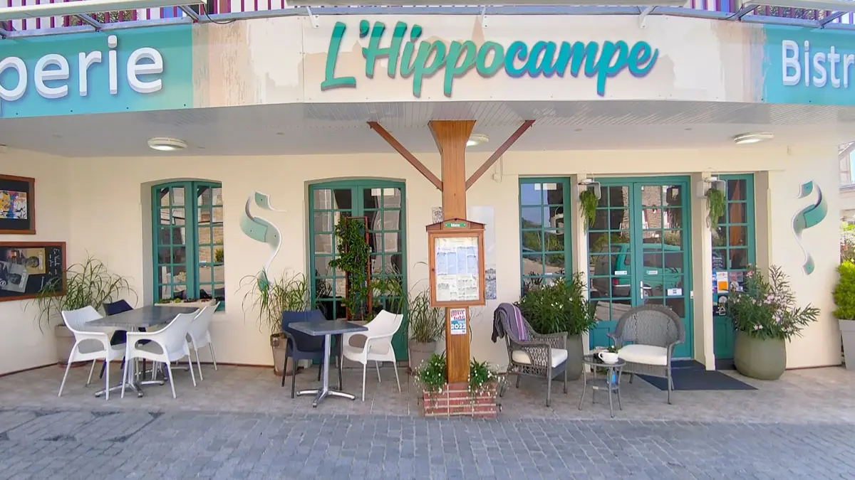 0-saint-pair-sur-mer-hippocampe