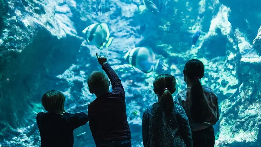 13.Cité de la Mer - Familles & Enfants (©Aymeric Picot)-02068