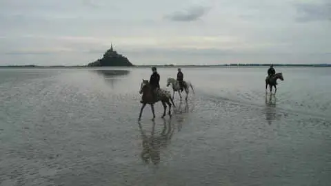 2012_Bréhal_Cheval de la Lande_1160362_TIS