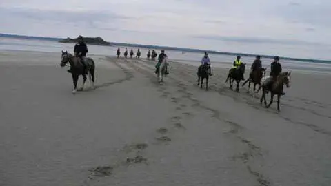 2012_Bréhal_Cheval de la Lande_1160372_TIS
