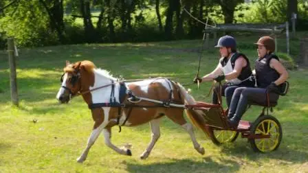 2013_Centre_Equestre_La_Chapelle_Cécelin@C.Desmottes