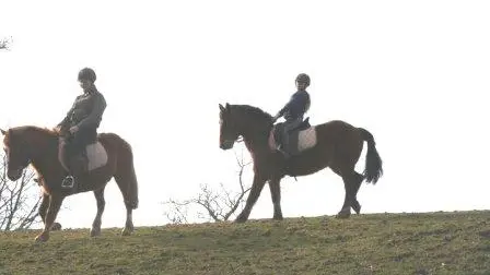 2013_Centre_Equestre_La_Chapelle_Cécelin2@C.Desmottes