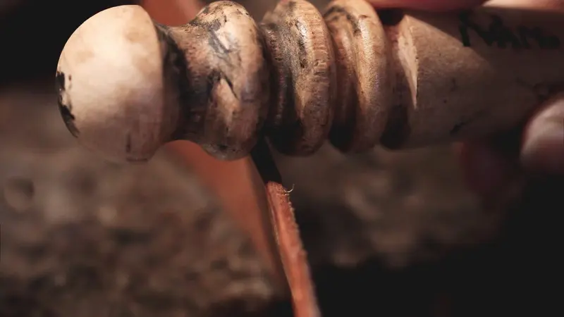 Les Petits Batraciens