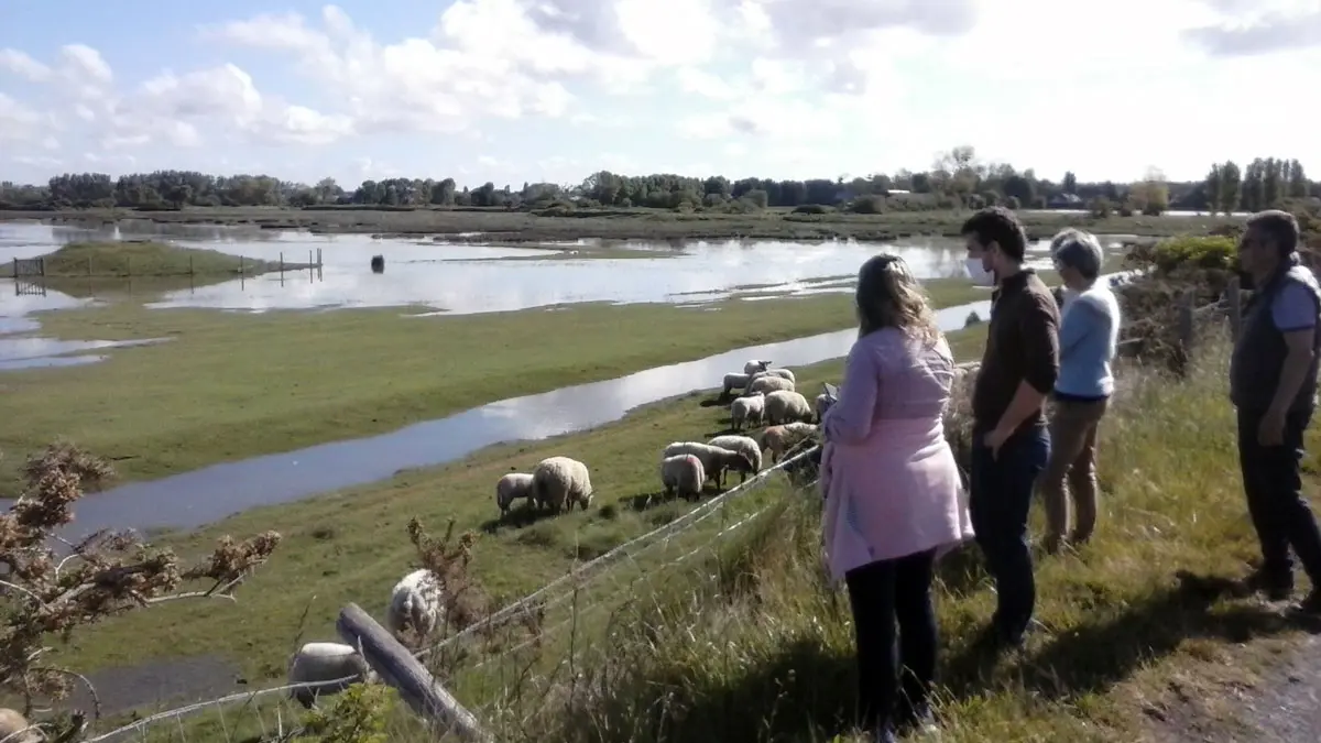 2021-05-27-vanlee--(66)[1]