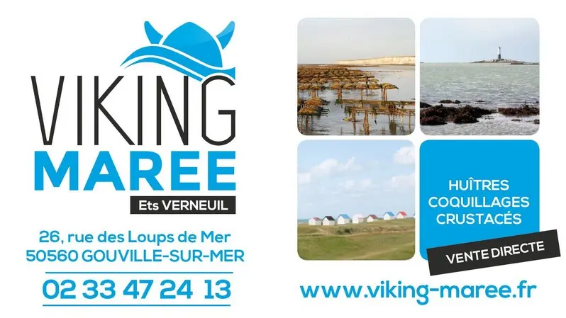 viking maree gouville sur mer (2)