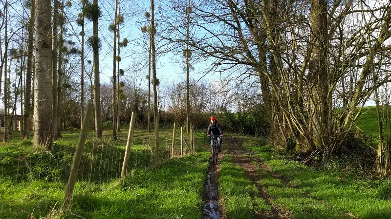 vtt_la-lucerne-py-park_nicolas-oreau-delacquis