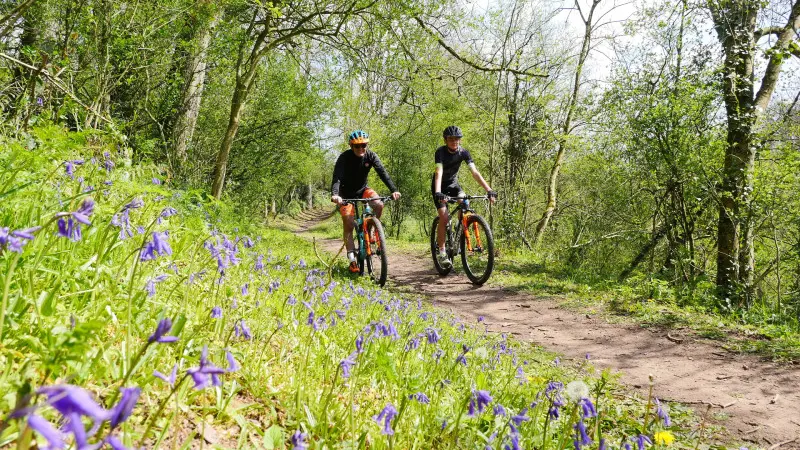 vtt_le-boscq_l-oiseliere_estelle-cohier_01