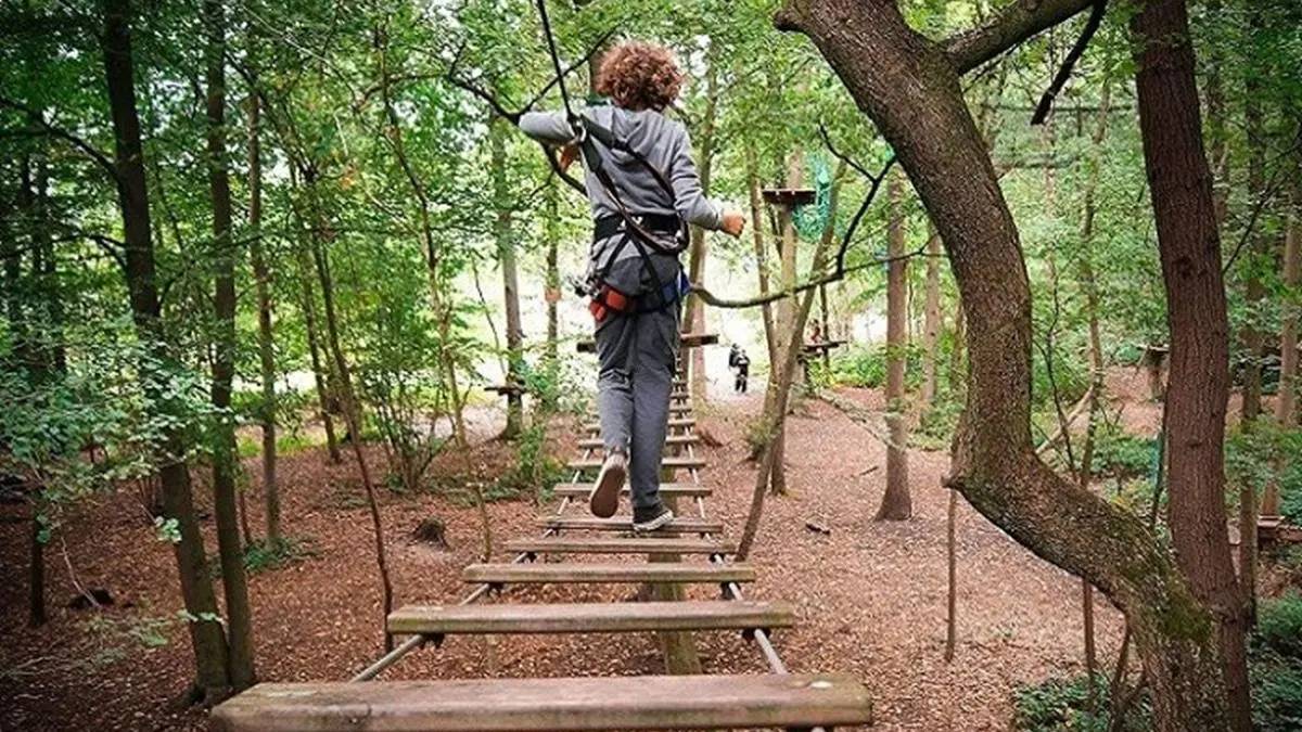 Accrobranche Etape en Forêt St Sever Calvados(TIS)