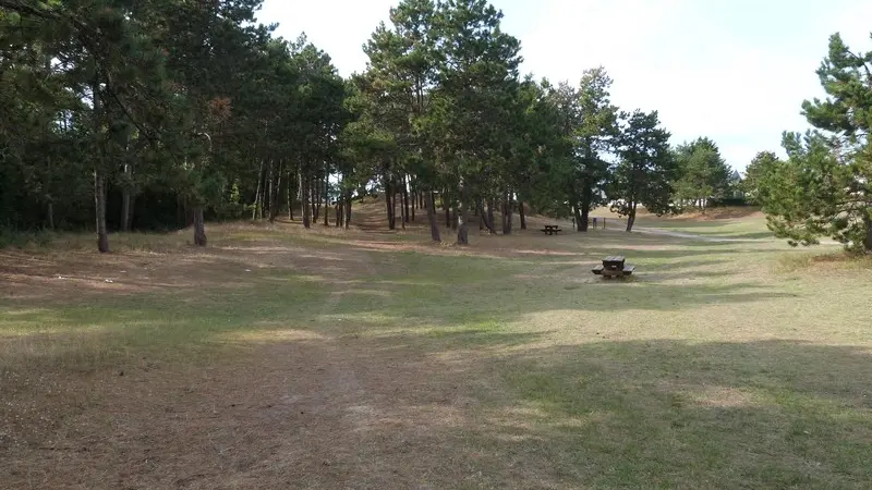 Agon-Coutainville - Aire de pique pique + Aire de jeux - Près du Collège (8)