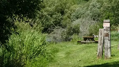 Aire de pique nique montaigu les bois etangs (1)