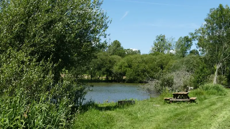 Aire de pique nique montaigu les bois etangs (2)