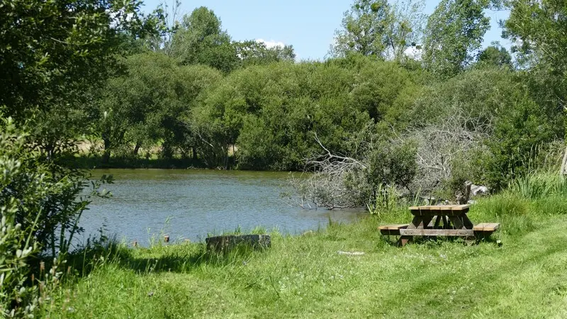 Aire de pique nique montaigu les bois etangs (3)