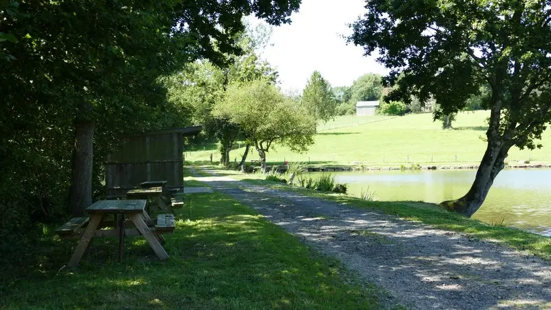 Aire de pique nique montaigu les bois etangs (4)