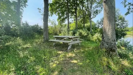 Aire de pique nique blainville sur mer mare aux grenouilles (1)