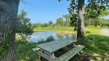 Aire de pique nique blainville sur mer mare aux grenouilles (2)