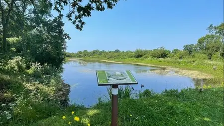 Aire de pique nique blainville sur mer mare aux grenouilles (3)