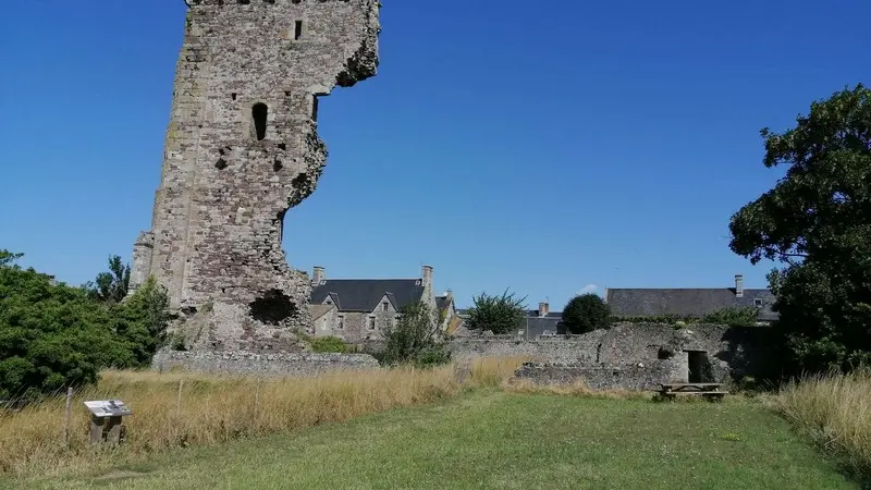 Aire pique nique regneville sur mer château (1)