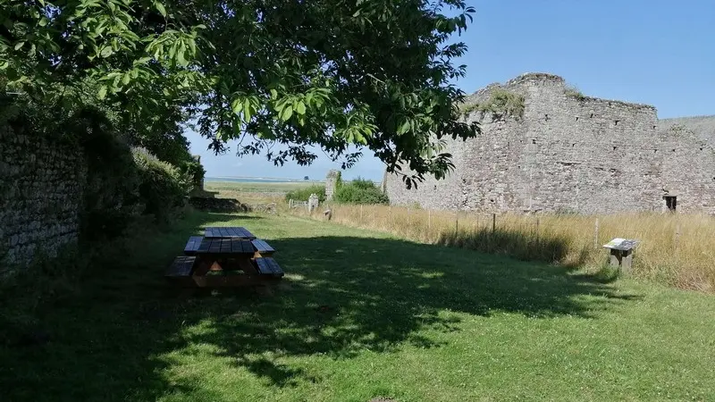 Aire pique nique regneville sur mer château (2)