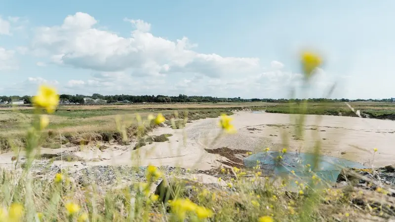 Aymeric PICOT_Reportage2020_HavredeBlainville-04110