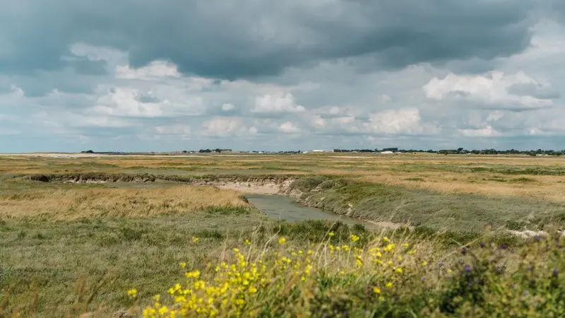 Aymeric PICOT_Reportage2020_HavredeBlainville-04124