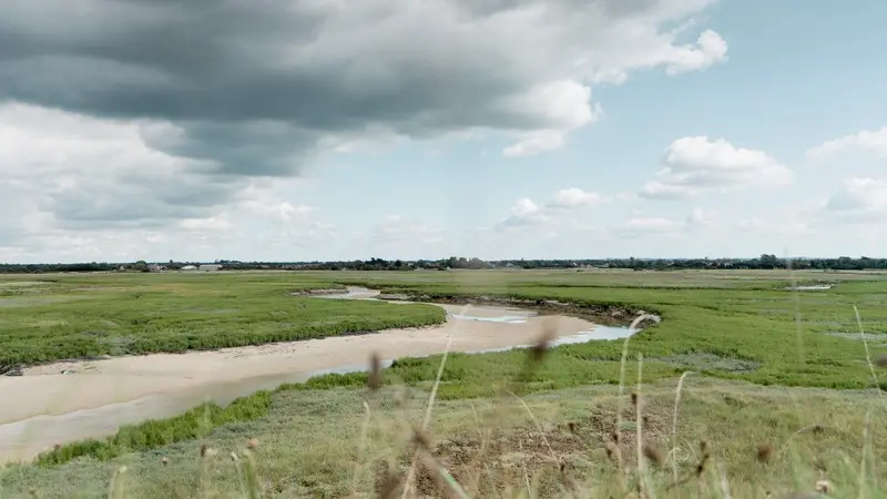 Aymeric PICOT_Reportage2020_HavredeGeffoses-04092