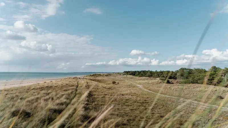 Aymeric PICOT_Reportage2020_HavredelaVanlée-04475