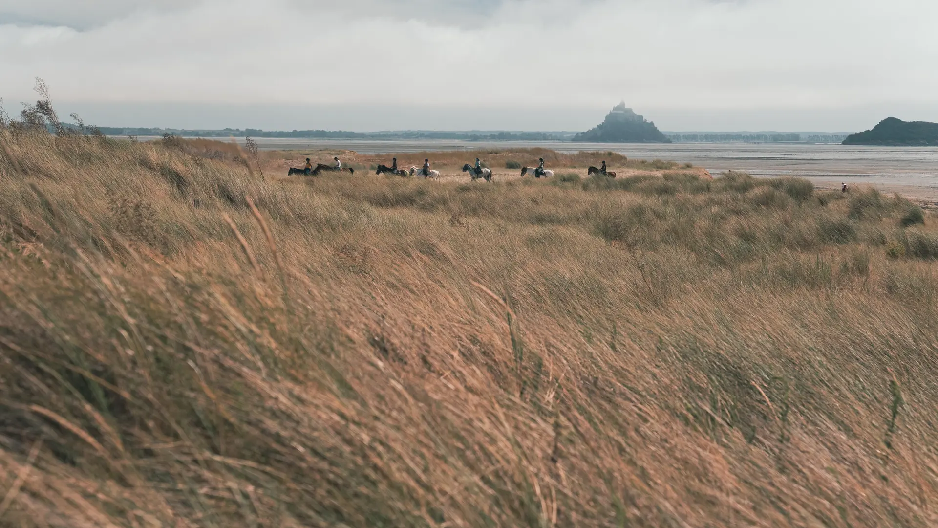 Bouillon---Genets-100.jpg-2000px