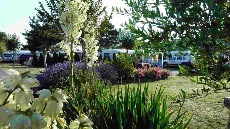 Bréville sur Mer_Camping La Route Blanche_emplacement  camping_9
