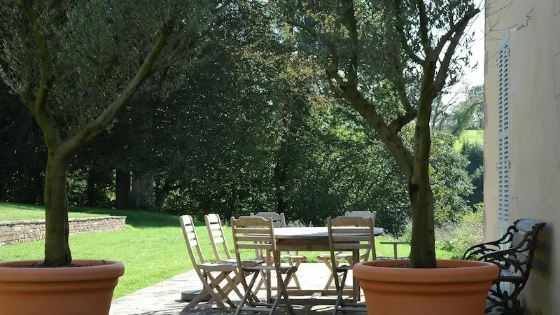 Brehal_Manoir du Mesnil de Bas_terrasse